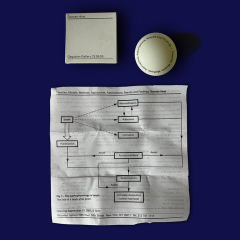 DAMIEN HIRST. THEORIES, MODELS, METHODS, APPROACHES, ASSUMPTIONS, RESULTS AND FINDINGS