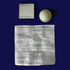 DAMIEN HIRST. THEORIES, MODELS, METHODS, APPROACHES, ASSUMPTIONS, RESULTS AND FINDINGS