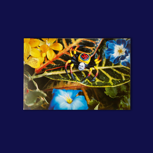 DAVID WOJNAROWICZ. EARLY AND RECENT WORK
