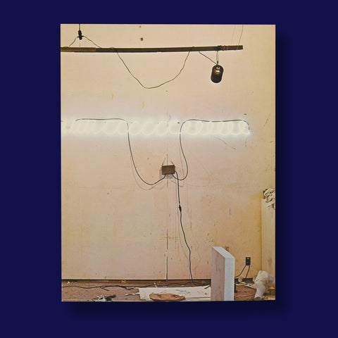 BRUCE NAUMAN. NEONS