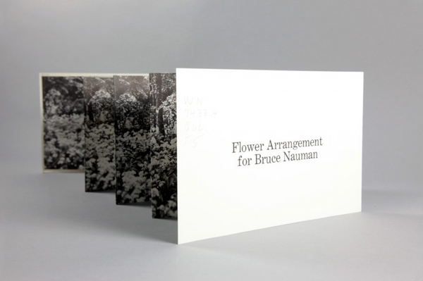 DENNIS OPPENHEIM. FLOWER ARRANGEMENT FOR BRUCE NAUMAN