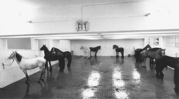 Jannis Kounellis-Retrospective-MCA