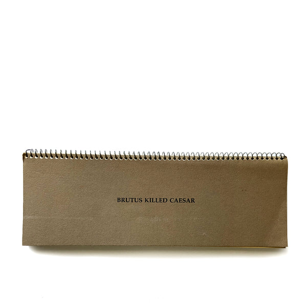 JOHN BALDESSARI. BRUTUS KILLED CAESAR