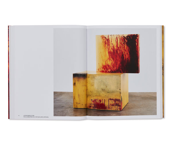 STERLING RUBY (ICA)