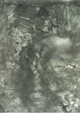 Cover image of Jasper Johns Drawings