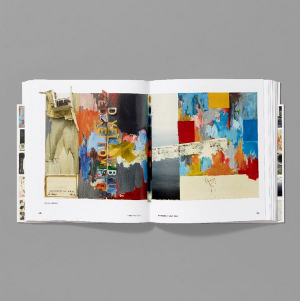 JASPER JOHNS. MIND/MIRROR