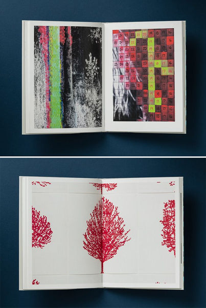 CHARLES GAINES: PALM TREES AND OTHER WORKS