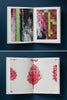 CHARLES GAINES: PALM TREES AND OTHER WORKS